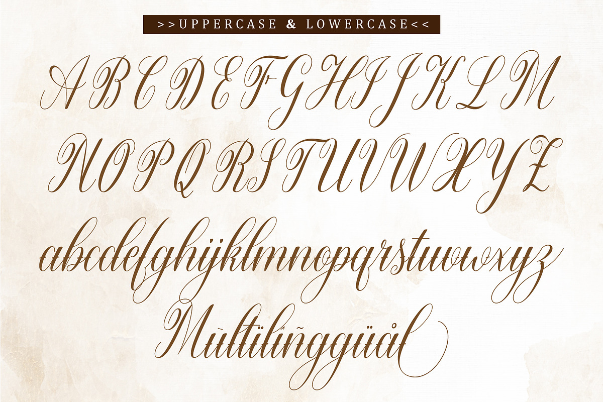 Warton, a Script Font by Reza Studio (Photo 10 of 13)