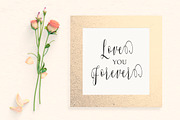 Whitelya Script, a Script Font by Solidtype (Thumbnail 6 of 6)