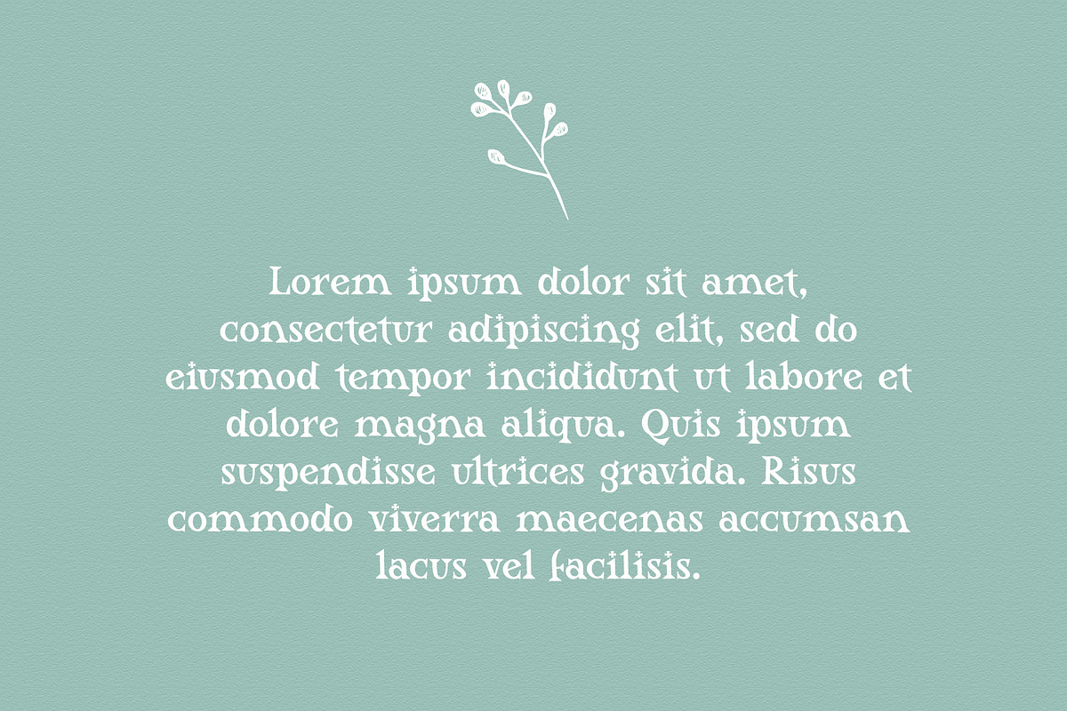 Moist Orange - Cute Serif Font, a Serif Font by Airotype (Photo 5 of 10)