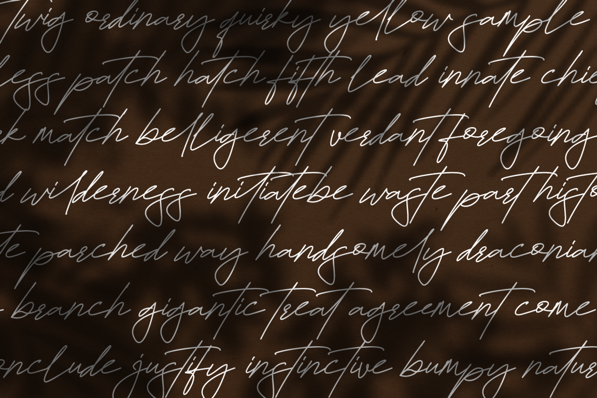 Hamiltton Signature Business Font, a Script Font by KennedyStudio (Photo 3 of 11)