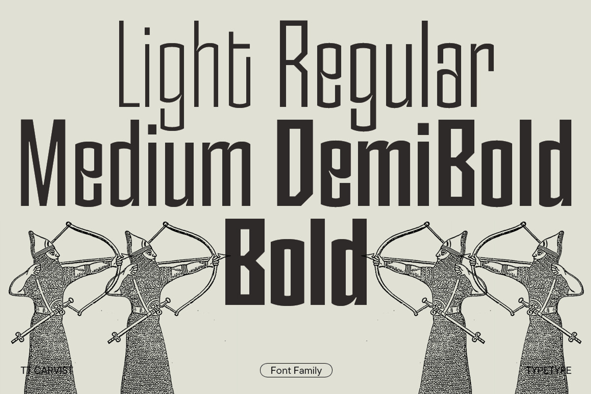 TT Carvist, a Sans Serif Font by TypeType (Photo 2 of 15)