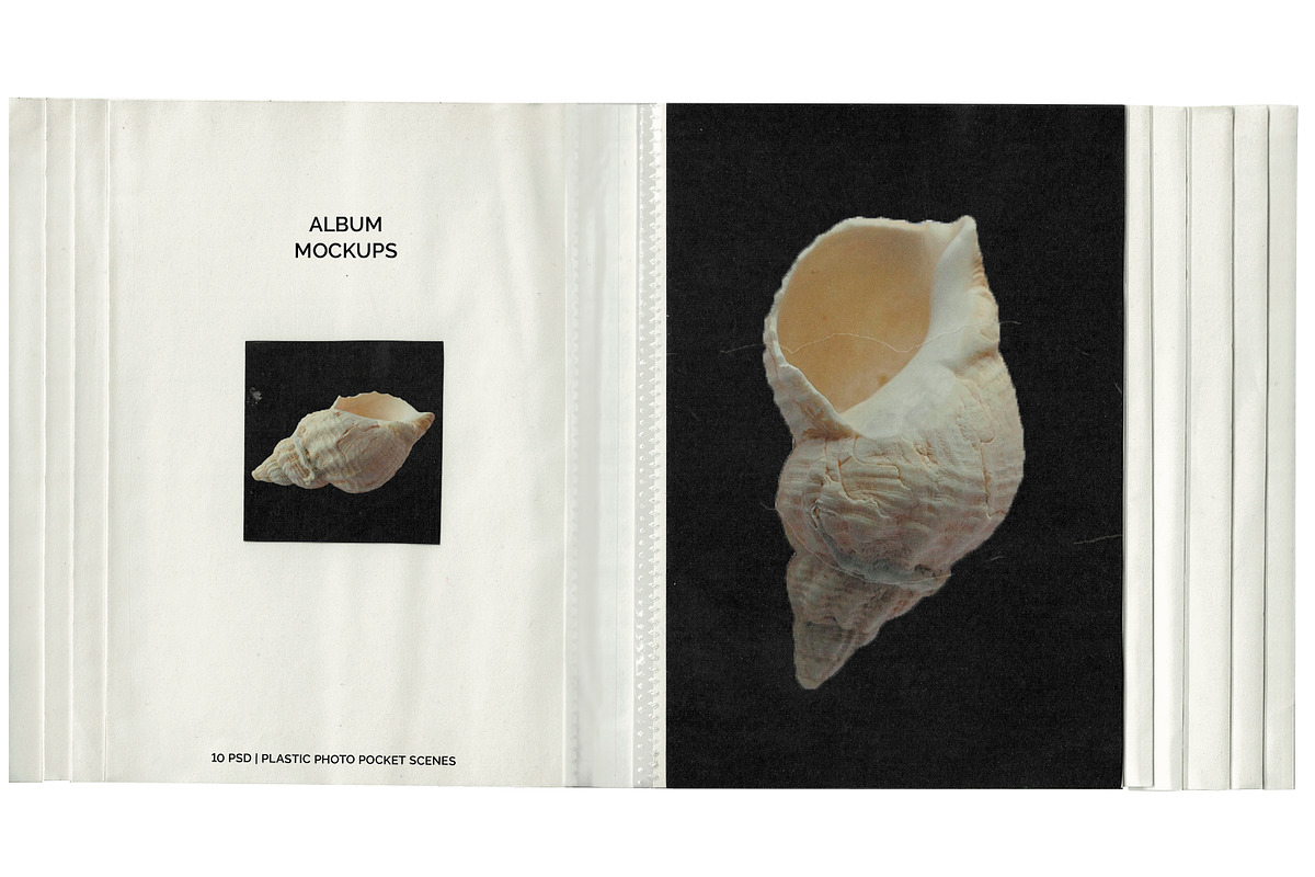 Flip Album Plastic Pocket Mockups, a Books & Magazine Mockup by Studio Viita (Photo 2 of 11)