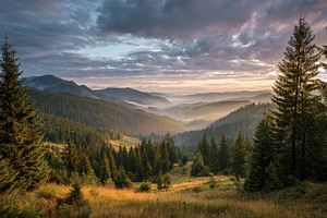 Majestic sunrise over a misty mounta, a Photo by Pavel_design