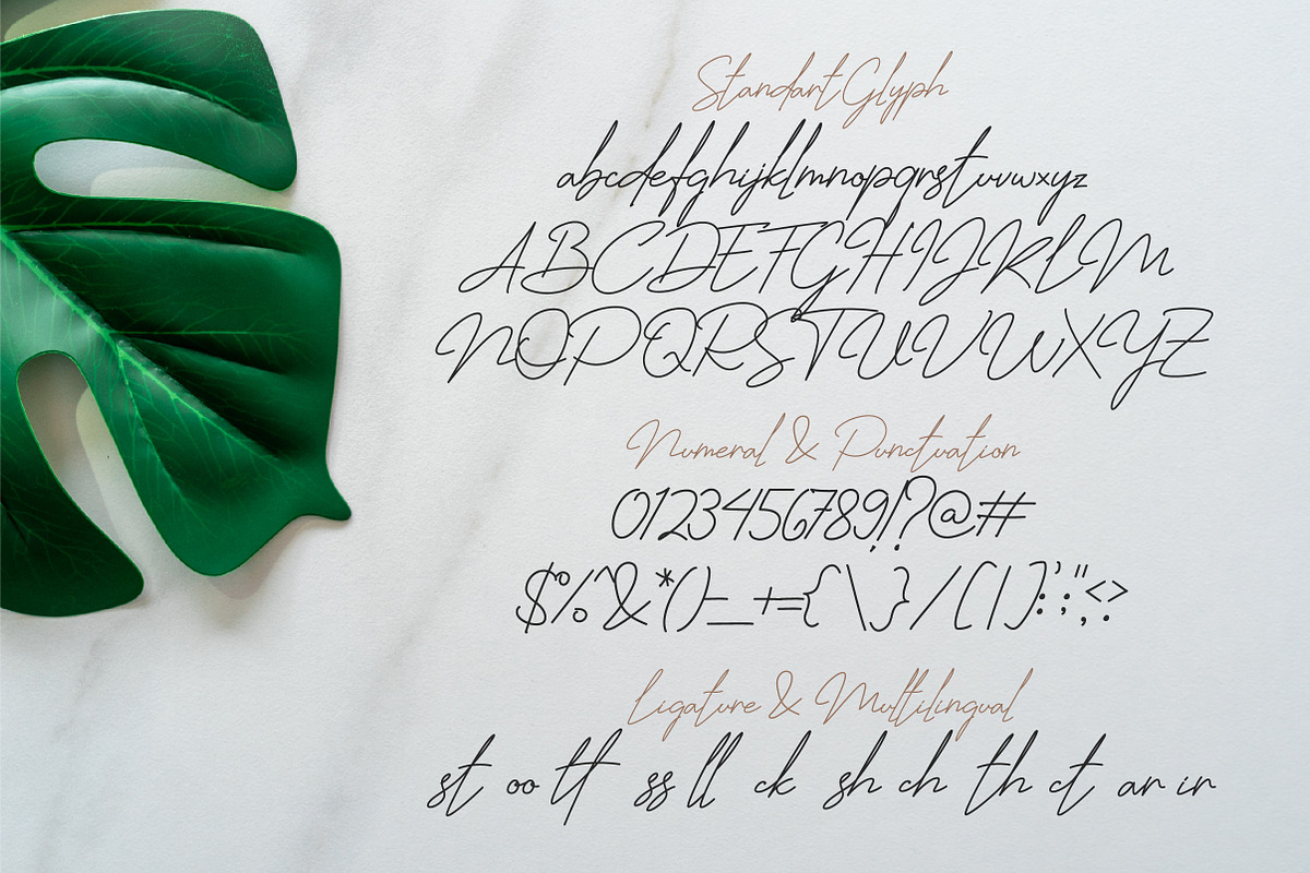 Jhenyta Signature Script, a Script Font by Lettertype Studio (Photo 5 of 6)