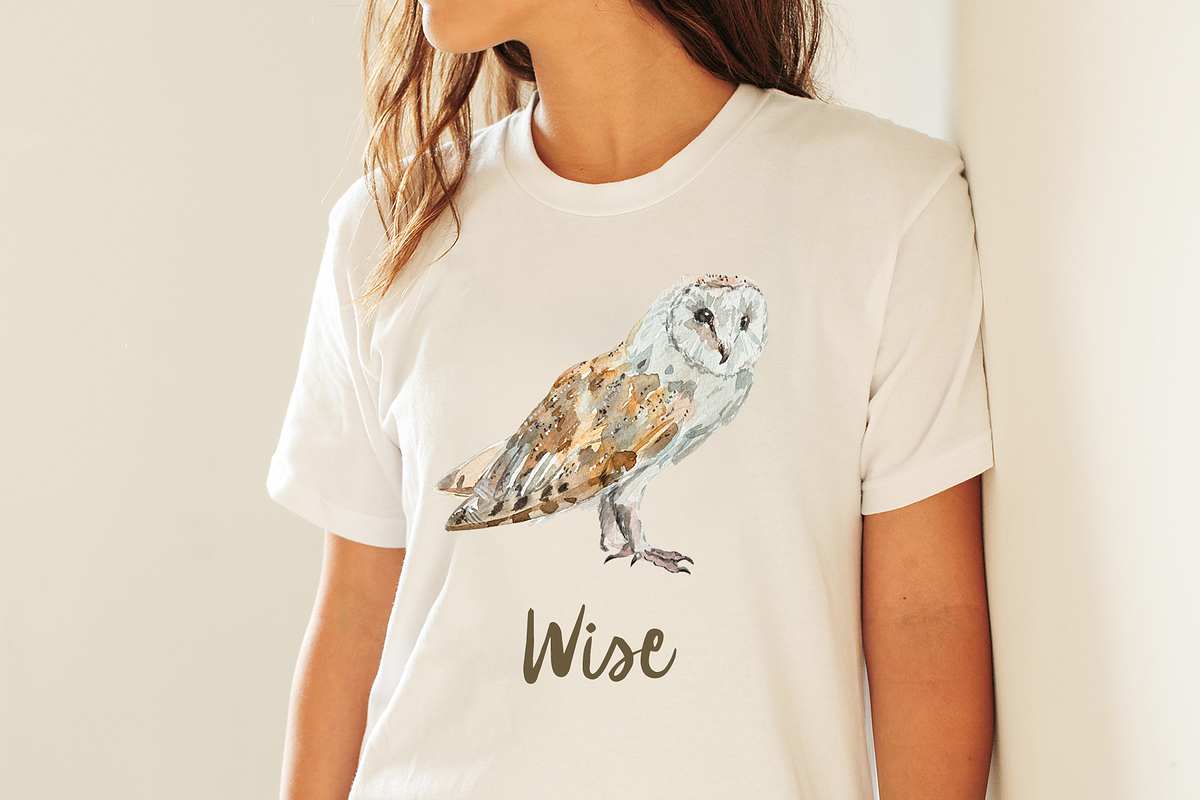 Owl Life Cycle Clip Arts and Print, an Education Illustration by Tati Bordiu (Photo 5 of 5)