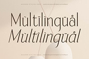 Serafilms Modern Stylish Serif, a Serif Font by Storytype Studio (Thumbnail 12 of 15)