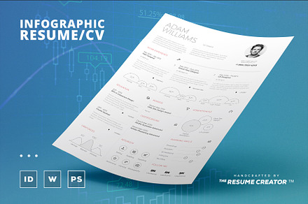 Infographic Resume/Cv Template Vol.4
