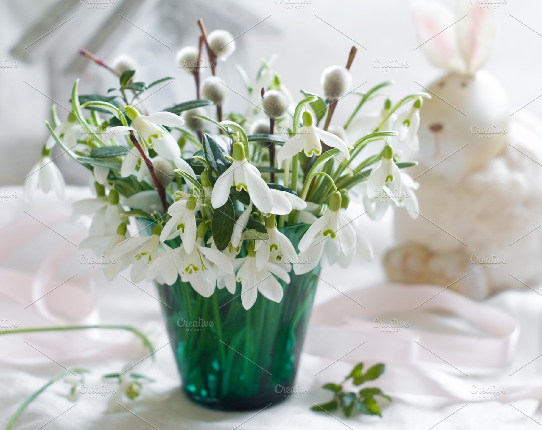 Snowdrops Stock Photo