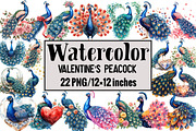 Valentine's Peacock Watercolor, an Illustration by Design Market (Thumbnail 1 of 3)