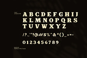 Quick Moncky Elegant Serif Font, a Serif Font by Perfectype (Thumbnail 8 of 8)