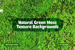 Natural Green Moss Texture Backgroun, a Background Graphic by Pitchlook.Studio