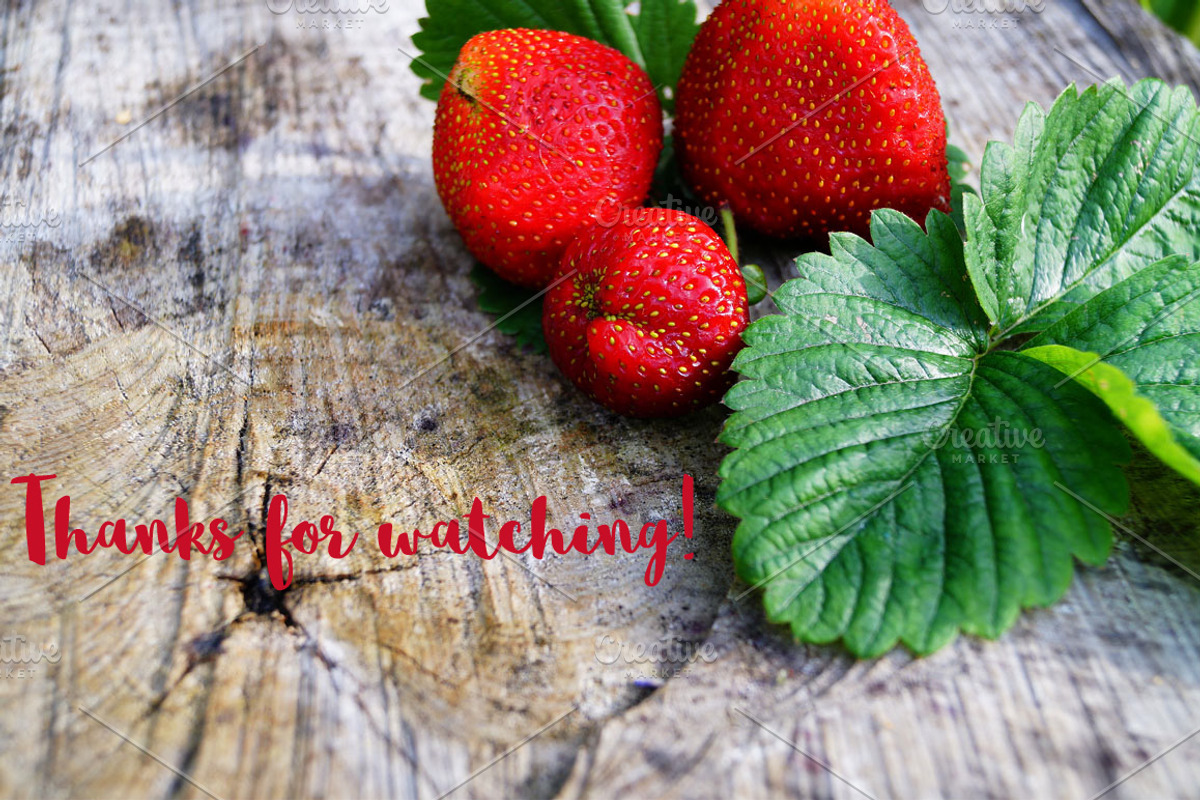 Vector garden strawberry, an Illustration by TashaDraw (Photo 7 of 7)