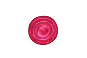 Watercolor fruit&vegetable slices, a Food Illustration by Katya Zlobina (Thumbnail 14 of 14)