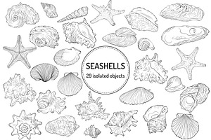 Seashells Vector Collection Line Art