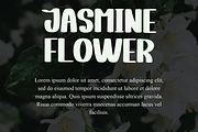 Jasmine, a Serif Font by FreshTypeINK (Thumbnail 6 of 8)