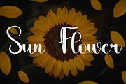 Books, a Handwritten Font by InermediaSTUDIO (Thumbnail 7 of 8)