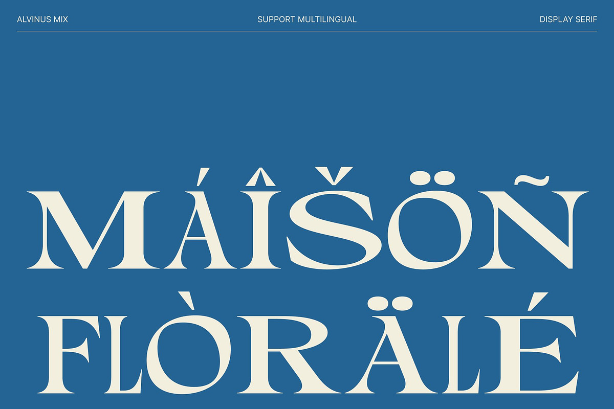 Alvinus Mix, a Serif Font by Craft Supply Co. (Photo 7 of 8)