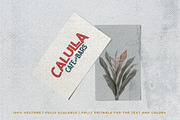 Caltons Badges & Caltons Typeface, an Illustration by Wortfice (Thumbnail 6 of 9)