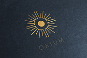 Aerial Logo Collection Classic, a Branding & Logo Template by Michael Rayback Design (Thumbnail 5 of 21)