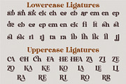 Dakosta | Retro Serif Typeface, a Serif Font by MchCrafter (Thumbnail 12 of 15)