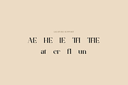 Aesthetiva - Elegant Serif Font, a Serif Font by RockboyStd (Thumbnail 11 of 12)