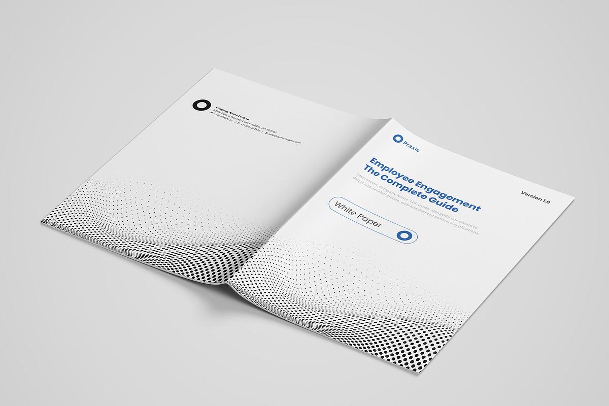White Paper | MS Word & Indesign, a Brochure Template by azadcsstune (Photo 12 of 15)