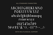 Markstyle Stylish Serif, a Serif Font by Letterhend Studio (Thumbnail 9 of 9)
