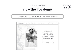 Ecommerce Wix Website Template