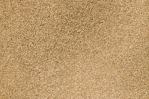 Beige light sand