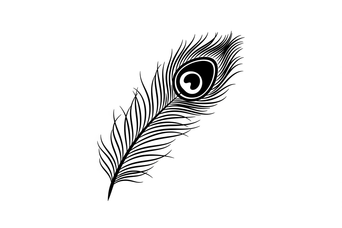 Peacock Feather Silhouette Bundle, an Illustration by jahid234 (Photo 19 of 31)
