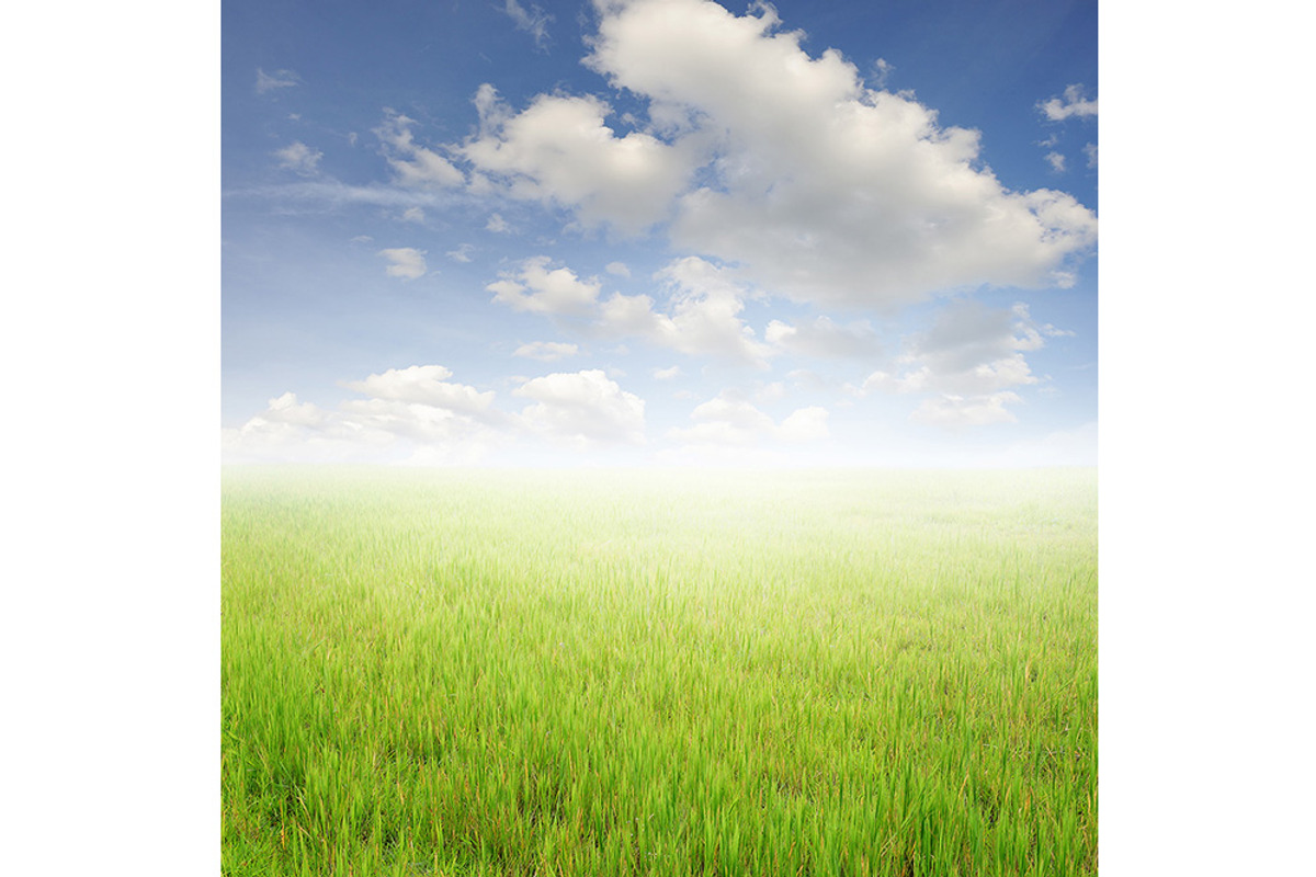 50 Fields background Set 01, a Texture Graphic by FWStudio (Photo 10 of 13)
