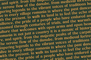 Bottarie Freestyle Display Font, a Serif Font by timelesstype.co (Thumbnail 16 of 20)