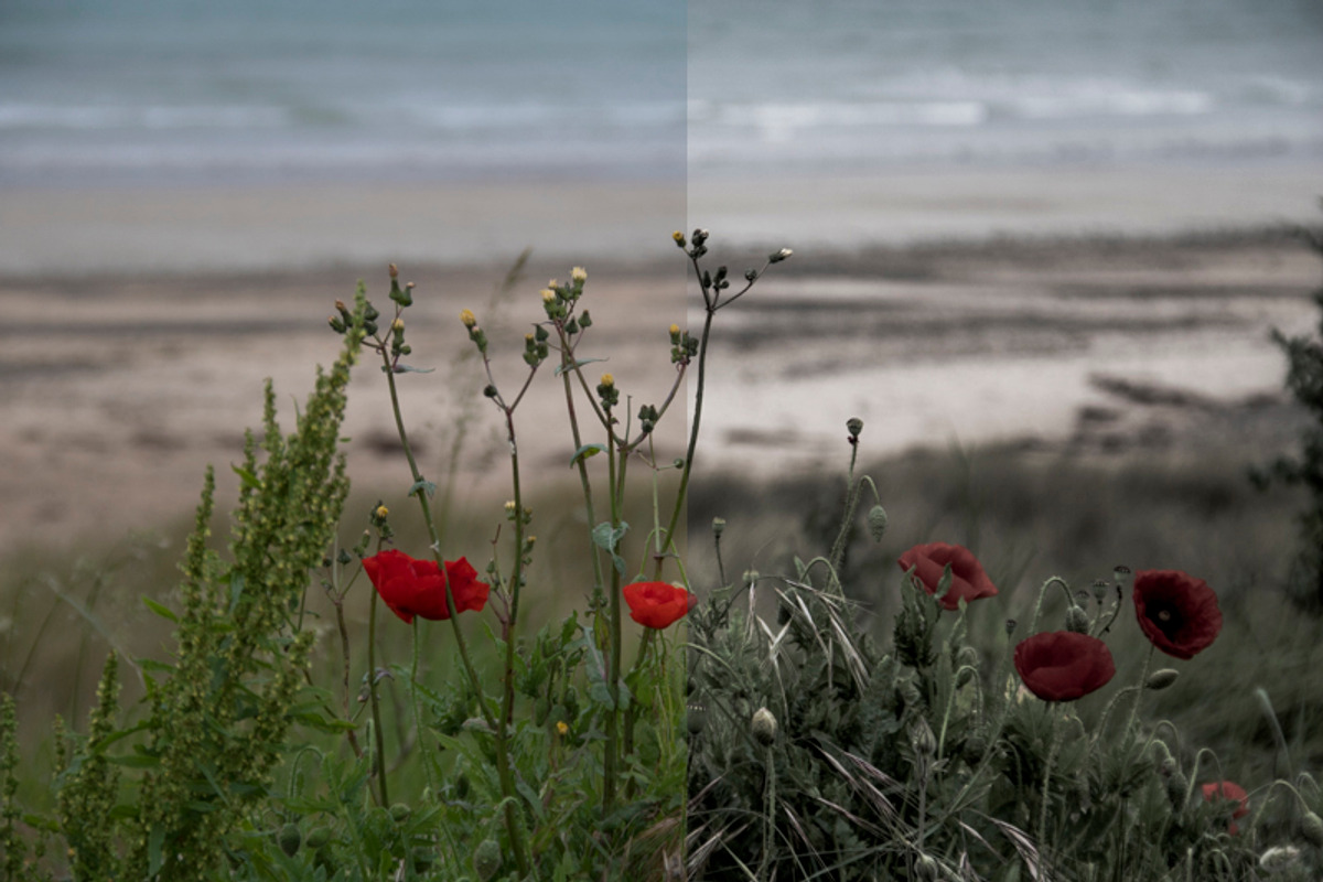 Impressions 10+2 Fineart LR Presets preview 8
