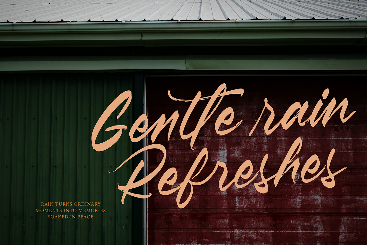 Pluretta Vintage Modern Brush Font, a Serif Font by Letterena Studios Script (Photo 7 of 20)