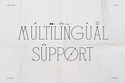 Float – Elegant Display Serif, a Serif Font by Krismagraph (Thumbnail 9 of 12)