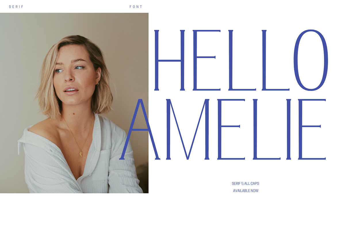 Amelie | Display Font, a Serif Font by Sylt Type (Photo 2 of 8)