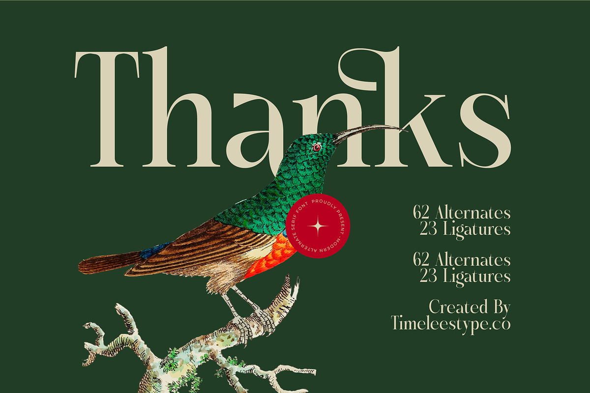 Karosa Modern Serif Display Font, a Serif Font by timelesstype.co (Photo 20 of 20)