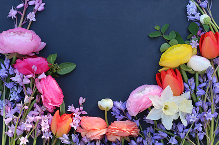 Flower border, a Nature Photo by Nordic Quarter