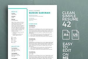 Resume Template 42