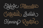Brotherline - Logotype Font, a Script Font by Hendra Pratama (Thumbnail 7 of 19)