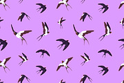 Birds fly in sky, seamless patterns, an Animal Illustration by PaperTrident (Thumbnail 13 of 16)
