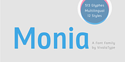 Monia, a Sans Serif Font by VivalaType (Thumbnail 1 of 8)