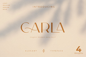 Carla Sans - Elegant Typeface