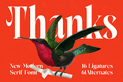 Mactge Modern Serif Display Font, a Serif Font by timelesstype.co (Thumbnail 20 of 20)
