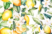 Watercolor Lemon Digital Papers, a Pattern Graphic by BonaDesigns (Thumbnail 5 of 5)