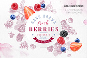 Fresh berries, a Food Illustration by handsketched (Thumbnail 1 of 21)
