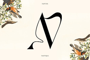 Vastyque - Modern Ligatures Serif