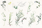 Fresh Watercolor Botanical Clip Art, a Decorative Illustration by whiteheartdesign (Thumbnail 2 of 5)