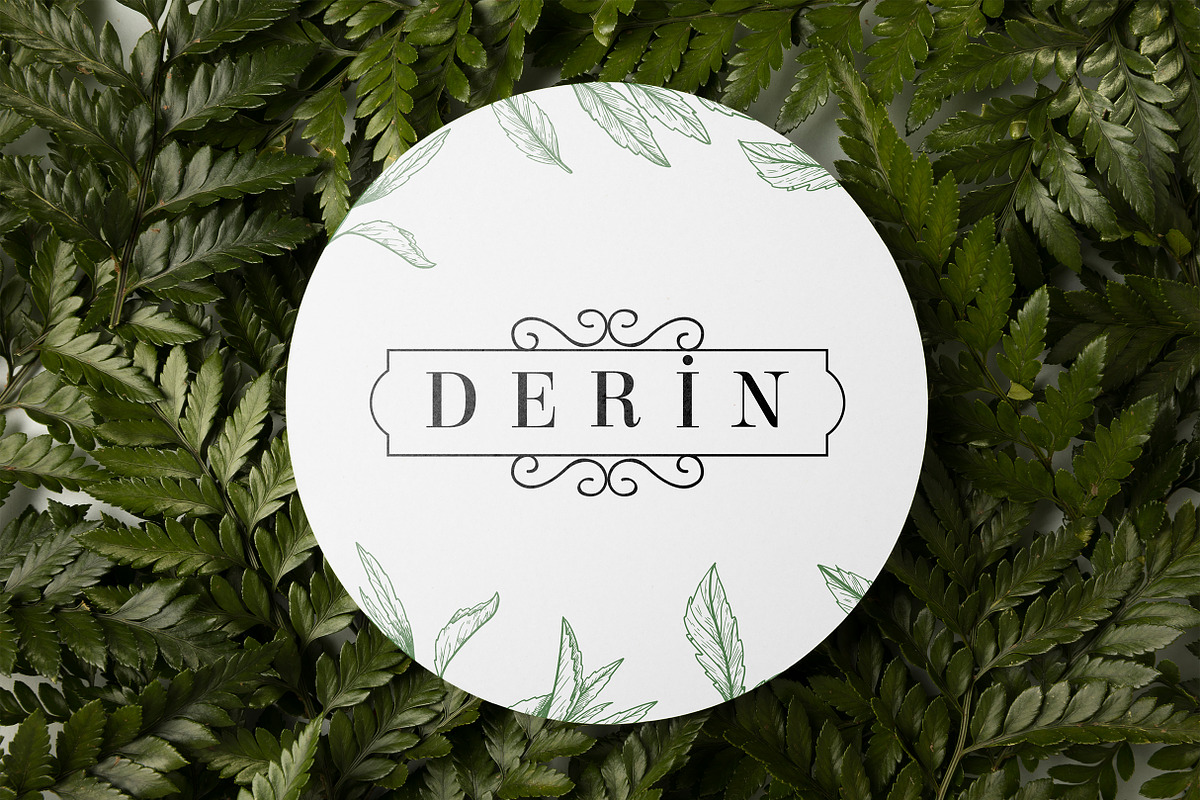 Derin Modern & Vintage Font, a Serif Font by ErsanK (Photo 2 of 3)