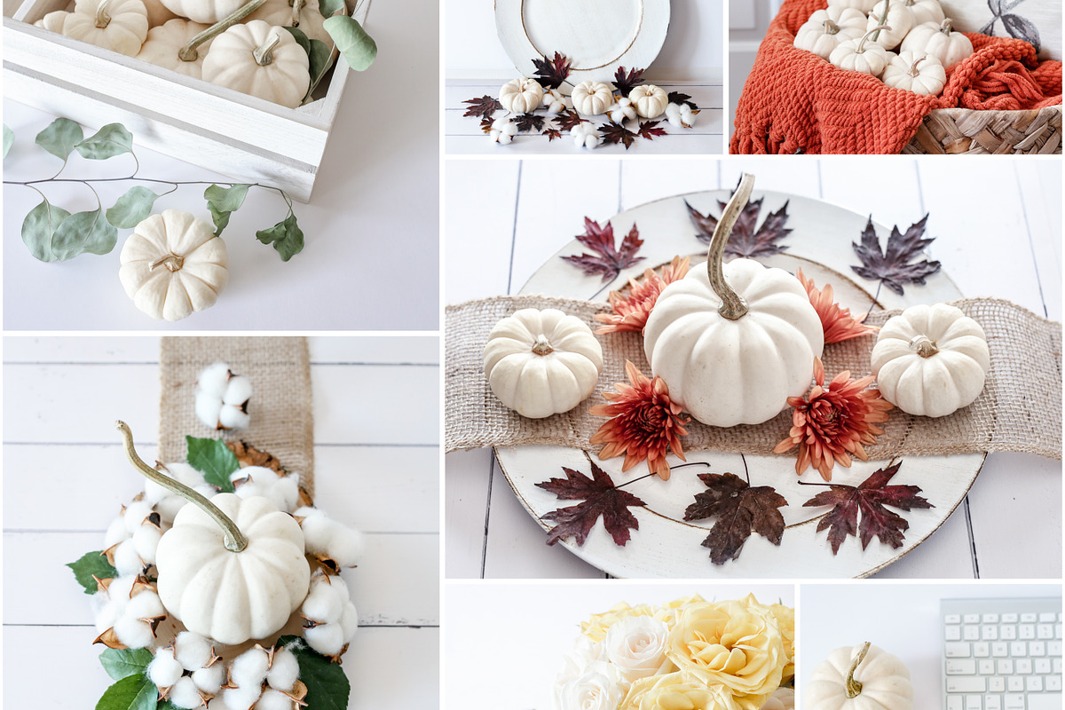 Fall Color Bundle Stock Photos, a Background Photo by SunnyTangerine Stock (Photo 10 of 10)